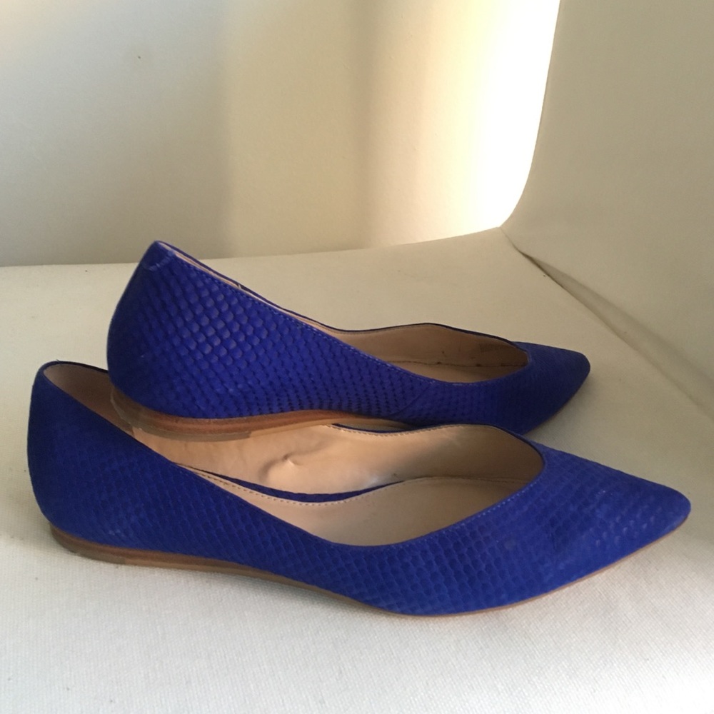 Colbolt Blue Vince Camuto Flats